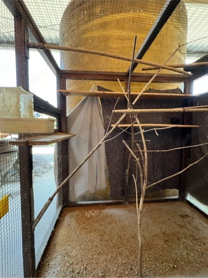 Vogelvoliere  -käfig XXL Groß Bild 5