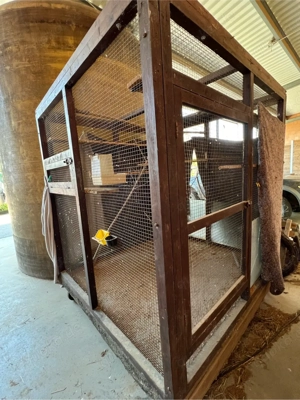 Vogelvoliere  -käfig XXL Groß Bild 2