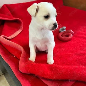 Loni   fröhlich und unbeschwert