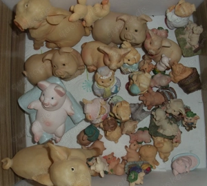 Schweinesammlung SAU GÜNSTIG zu verkaufen Bild 9