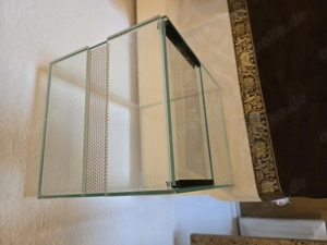 Glasterrarium klein mit Falltür Bild 2