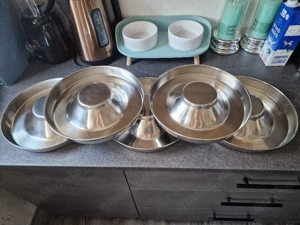 Kitten  Edelstahl fress schalen