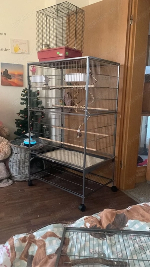 vogel käfig ohne vogel 