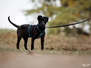 Nike sucht sein Zuhause