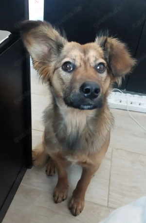 Süß   Süßer   TOFFEE