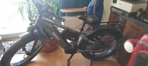 Himiway zebra premium 