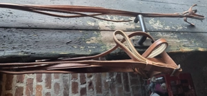 Fahrleine Trabrennen abzugeben,  Wahlsten