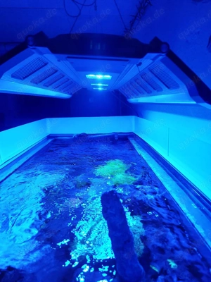  Maxspect Recurve LED Bild 4