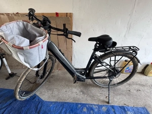 Pegasus Premio EVO 10 Lite