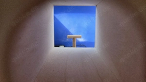 Wellensittich Fotobox