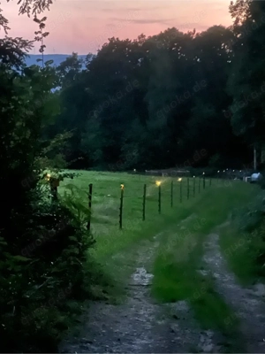 Sommerweideplaetze mit VOLLPENSION Bild 5