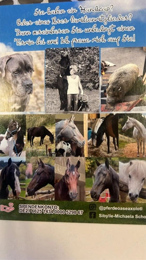 Sommerweideplaetze mit VOLLPENSION Bild 6