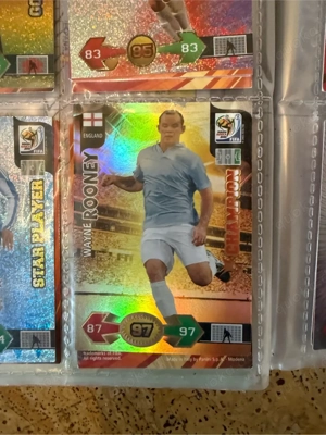 Panini Adrenalyn XL WC 2010 Sammlung