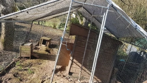 Hühnerstall   Gehege   Stallungen (Eier,Hühner,Enten,Gänse,etc.)