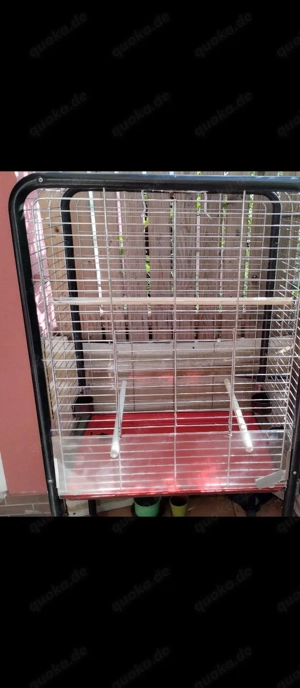 Große Voliere Papagei Käfig.