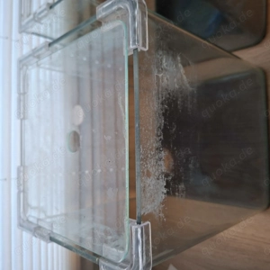 10l Aquarien Nanocube Dennerle Bild 2