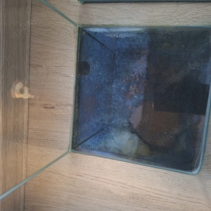 10l Aquarien Nanocube Dennerle Bild 7