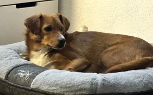 Hübsche Katinka - will endlich zur Ruhe kommen Bild 2