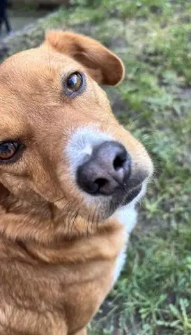 Hübsche Katinka - will endlich zur Ruhe kommen Bild 8