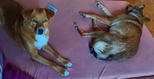 Hübsche Katinka - will endlich zur Ruhe kommen Bild 6