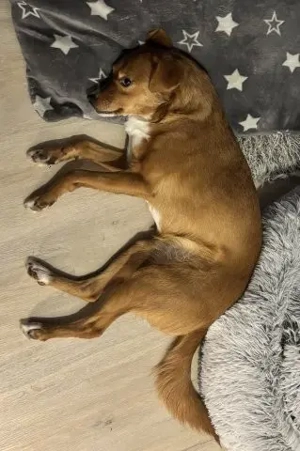 Hübsche Katinka - will endlich zur Ruhe kommen Bild 7