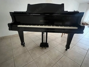 August Förster Flügel , Antik & Klangvoll (1859)