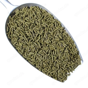 Spitzwegerich Sticks für Garnelen