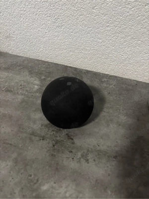 Amazon Echo Dot Smart Speaker schwarz mit Netzteil