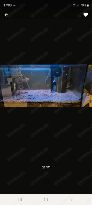 Aquarium zu verkaufen 