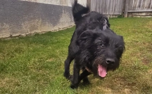 Salome: Energie trifft Schmusebacke Bild 2