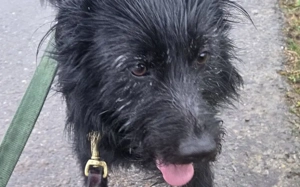 Salome: Energie trifft Schmusebacke Bild 5