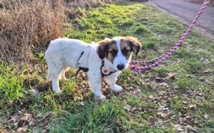 Sonnenschein Tessy hofft auf ihr Ticket ins Glück