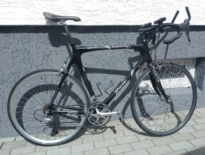 2Danger Carbon Rennrad