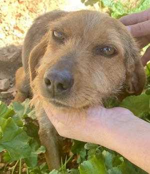 FLOW auf Körnchensuche