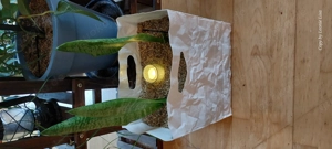 Aus Leonie's Pflanzen- Paradies