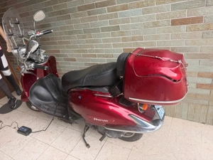 Roller Moped 50er Retro Roller Firenzel