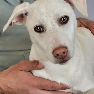 Darf ich dich vielleicht begleiten? Ich würde mich sehr freuen.