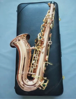 Vigorea Alt Saxophon Rosegold mit koffer 