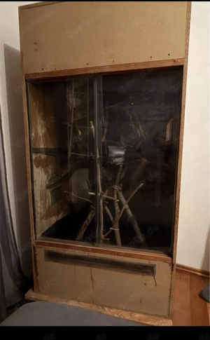 Terrarium Reptilien zu verkaufen  bis 29.3. Abholung 