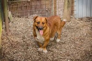 Chip 271422 - bin ich nicht ein schöner Mann?