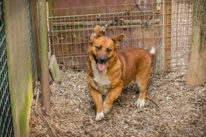 *LISSY* - Wer gibt mir ein Ticket ins eigene Familienleben?