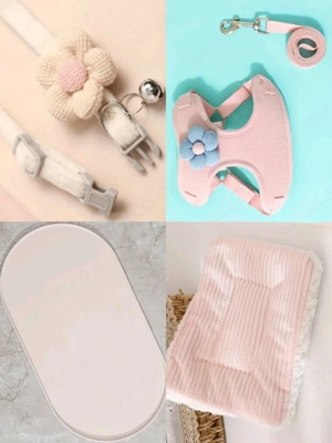 Zwergdackel Mädchen 10 Wochen alt sucht libesvoles Zuhause   