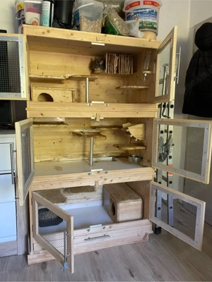 Chinchilla Familie sucht neues Zuhause Bild 2
