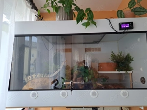 Kunststoff Terrarium  super Zustand