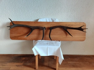 Hirschgeweih auf Eichenplatte