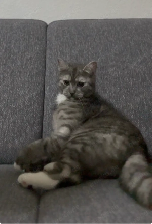 Mädchen und Junge  Bild 3