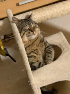 Mädchen und Junge  Bild 4