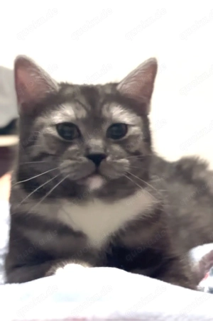 Mädchen und Junge  Bild 2