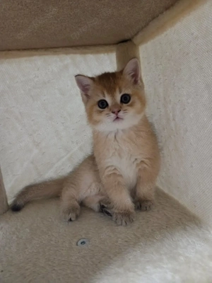 Reservierung BKH Mädchen 