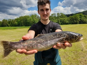 Fliegenfischen First Class Bild 4
